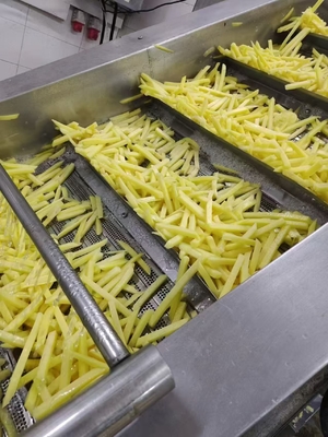 Loading and Timely Delivery of Frozen Straight Cut Fries French