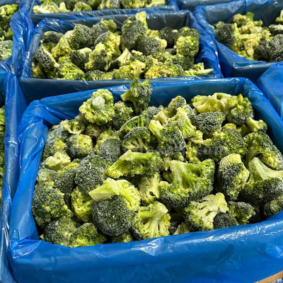 High Quality IQF Frozen Broccoli 20-40mm Premium Vegetable Product