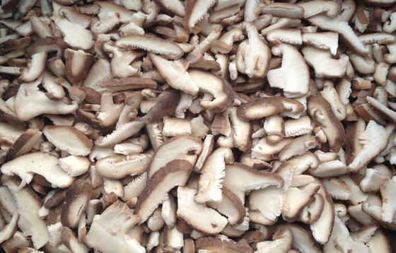 Bulk IQF Frozen Shiitake Mushroom Hot-selling