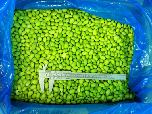 Bulk Organic High-Protein Frozen Vegetable Ready to Cook IQF Soya Beans