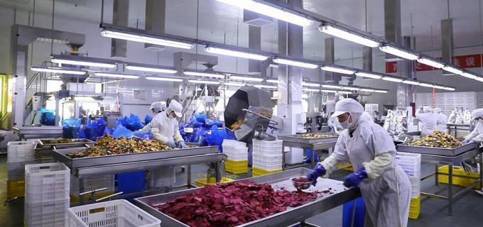 ราสเบอร์รี่แช่แข็งจำนวนมากคุณภาพสูง บรรจุภัณฑ์จำนวนมากสำหรับราสเบอร์รี่แช่แข็ง ผลไม้ 9