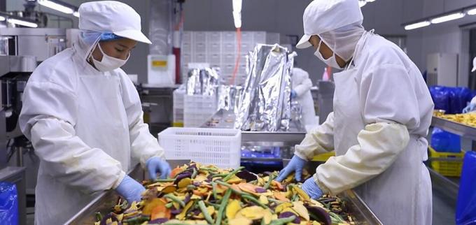 ราสเบอร์รี่แช่แข็งจำนวนมากคุณภาพสูง บรรจุภัณฑ์จำนวนมากสำหรับราสเบอร์รี่แช่แข็ง ผลไม้ 10