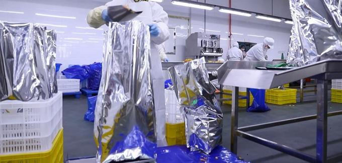 ราสเบอร์รี่แช่แข็งจำนวนมากคุณภาพสูง บรรจุภัณฑ์จำนวนมากสำหรับราสเบอร์รี่แช่แข็ง ผลไม้ 11