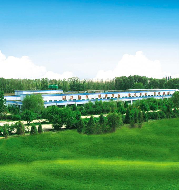 ผลิตภัณฑ์ระดับ 4 ดาวของ Sinocharm BRC-A ลูกพีชเหลืองสดแช่แข็ง 10x10 มม. ลูกเต๋าผลไม้ IQF ลูกเต๋าพีชเหลือง 8