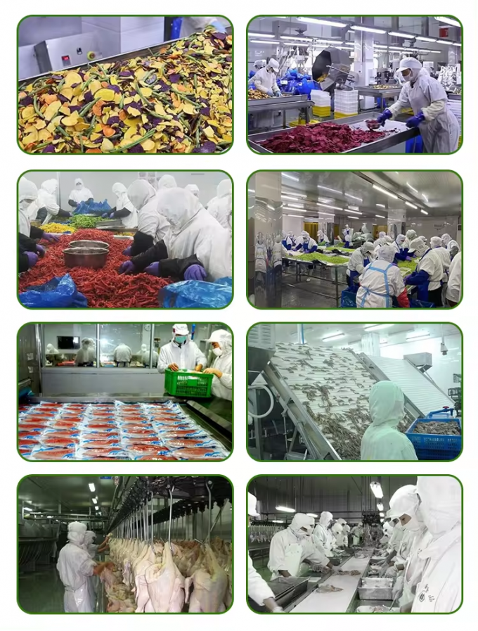 ขายปลีก ขนาดใหญ่ แพ็คกระเทียม Frozen กระเทียมสับ Iqf กระเทียมสับ กระเทียม Frozen ผัก 5