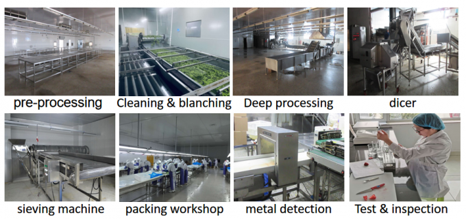 สินค้าจากจีน คุณภาพดี ราคาดี Iqf ผักแช่แข็ง 8