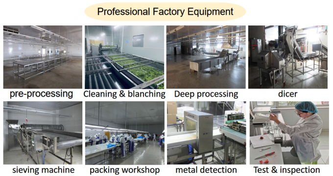 ผู้ผลิต ราคาโรงงาน IQF คุณภาพสูง อาหารสด มะเขือเทศแข็ง เซอร์เบียเพื่อส่งออก 6