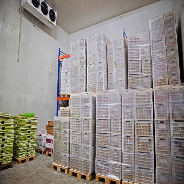 ราคาถูก คุณภาพดี ลดไขมัน สะอาด HALAL อนุมัติ ตับแกะแข็ง 3