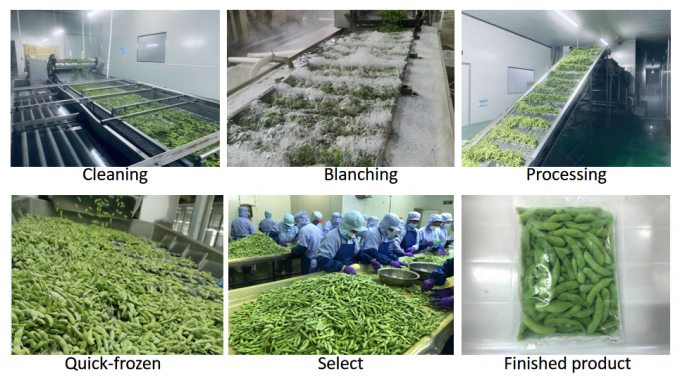 ประเทศจีน ซัพพลายเออร์ ถั่วโซยา IQF เอดามเม้แข็งในเปลือก 4