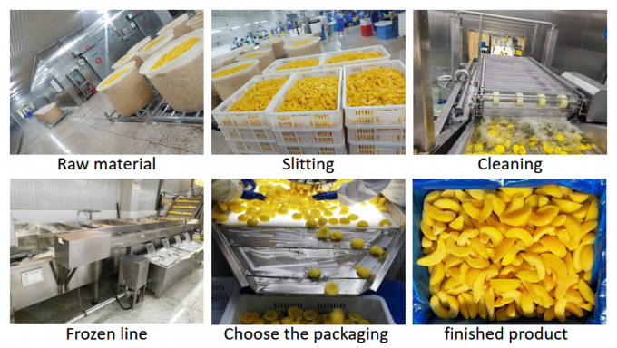 พีชเหลืองแช่แข็งคุณภาพสูง ขนาด 10 กก. - เหมาะสำหรับใช้ทำกระป๋องและส่งออก 3