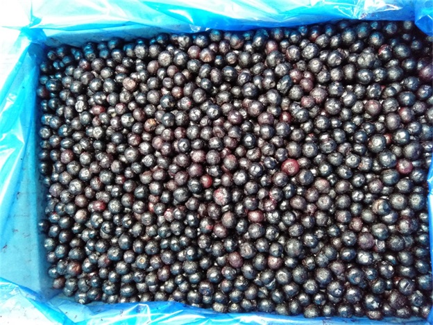 IQF มะเขือเทศทั้งตัว Frozen พรีเมี่ยมเบเกอรี่และสมิธี้ทอปปิ้ง 2