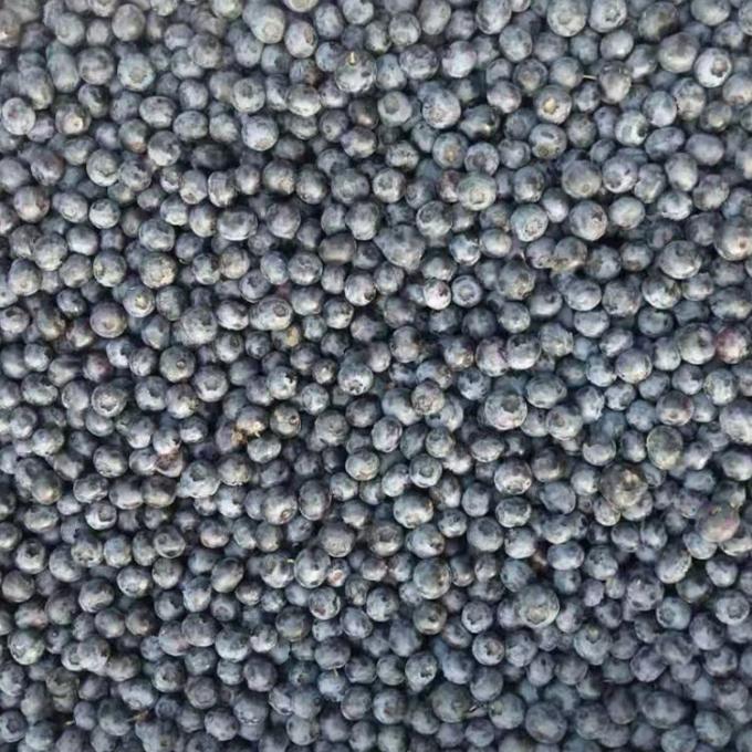 IQF มะเขือเทศทั้งตัว Frozen พรีเมี่ยมเบเกอรี่และสมิธี้ทอปปิ้ง 1