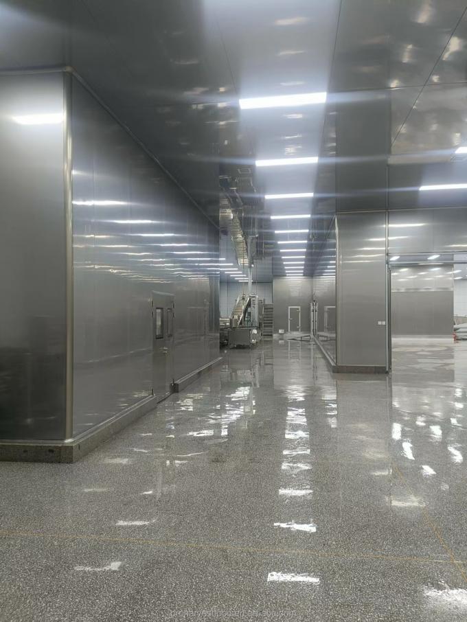 ผลิตภัณฑ์ร้อน ราคาโรงงาน สีขาว ใบรับรอง BRC HACCP ผักแข็ง IQF กระเทียมอินทรีย์ 5