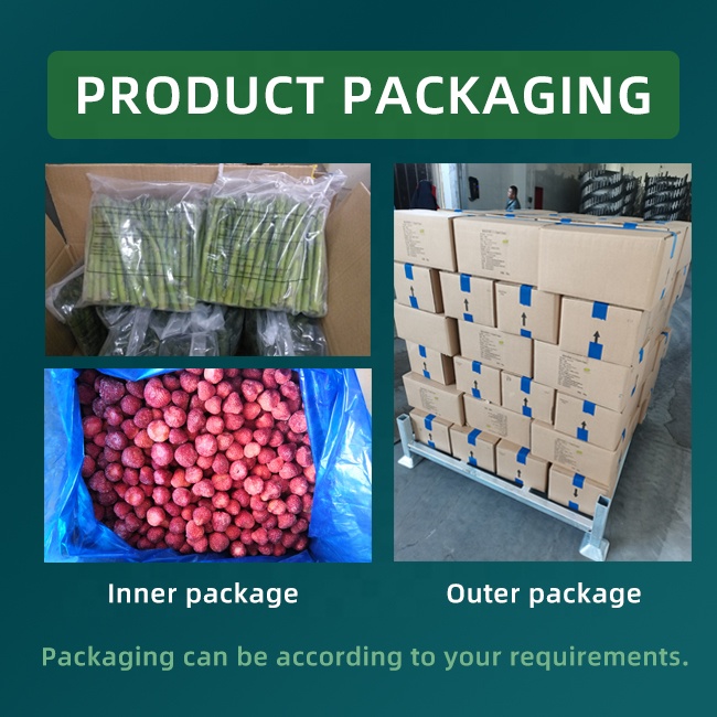 ราคาแผ่นมะม่วงแช่แข็ง 3