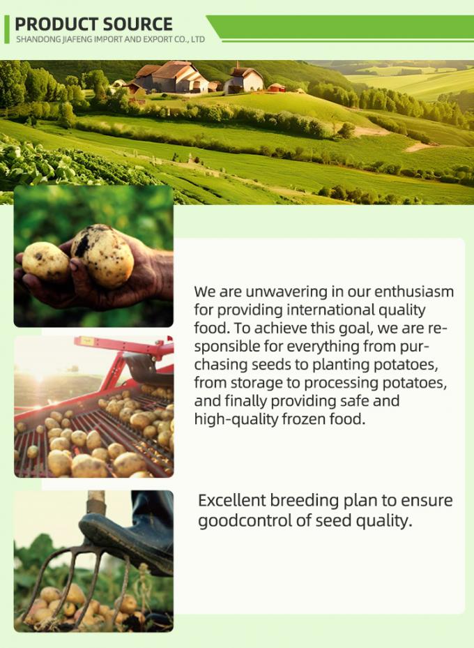 เฟรนช์ฟรายส์แช่แข็งอัตโนมัติ เฟรนช์ฟรายส์แช่แข็ง ออร์แกนิก IQF เฟรนช์ฟรายส์มันฝรั่ง บรรจุภัณฑ์จำนวนมาก 10 กก. วัตถุดิบสดใหม่ 1