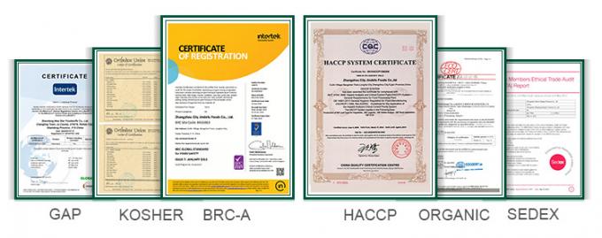 โรงงานผักแช่แข็งที่ได้รับการรับรองฮาลาล IQF มะเขือเทศหั่นเต๋า 10 มม. มะเขือเทศหั่นเต๋าแช่แข็งในประเทศจีน 1