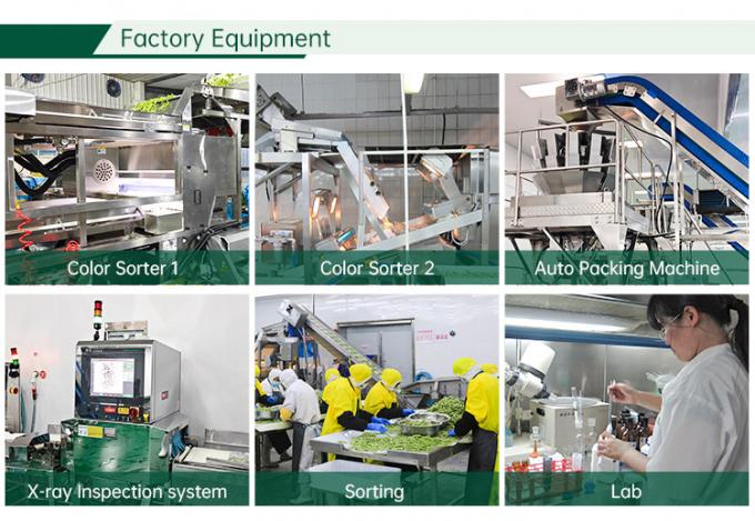 โรงงานผักแช่แข็งที่ได้รับการรับรองฮาลาล IQF มะเขือเทศหั่นเต๋า 10 มม. มะเขือเทศหั่นเต๋าแช่แข็งในประเทศจีน 2