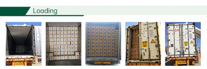 โรงงานผักแช่แข็งที่ได้รับการรับรองฮาลาล IQF มะเขือเทศหั่นเต๋า 10 มม. มะเขือเทศหั่นเต๋าแช่แข็งในประเทศจีน 4