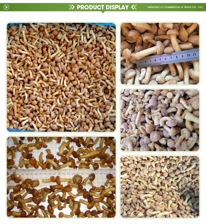 เห็ดป่าเพาะปลูกออร์แกนิก เห็ดธรรมชาติเพื่อสุขภาพ สดใหม่ มีคุณค่าทางโภชนาการ ทั้งตัว แช่แข็ง เห็ดนาเมโกะแช่แข็ง IQF 1