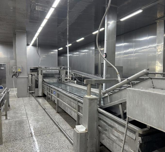 Sinocharm HALAL KOSHER ผู้จัดจำหน่ายขิงหั่นเต๋า IQF สด 4*4 มม. ของจีน 1 กก. ขิงแช่แข็งสำหรับเครื่องเทศ 5