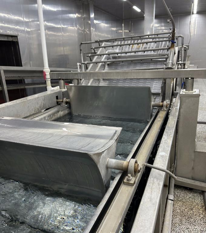 Sinocharm HALAL KOSHER ผู้จัดจำหน่ายขิงหั่นเต๋า IQF สด 4*4 มม. ของจีน 1 กก. ขิงแช่แข็งสำหรับเครื่องเทศ 8