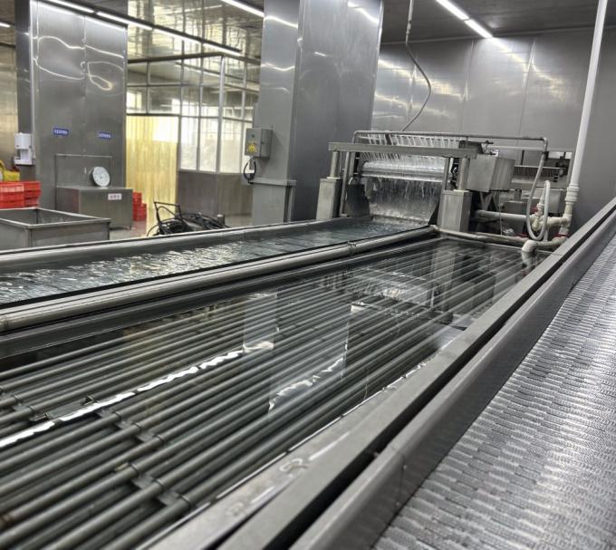 Sinocharm HALAL KOSHER ผู้จัดจำหน่ายขิงหั่นเต๋า IQF สด 4*4 มม. ของจีน 1 กก. ขิงแช่แข็งสำหรับเครื่องเทศ 9