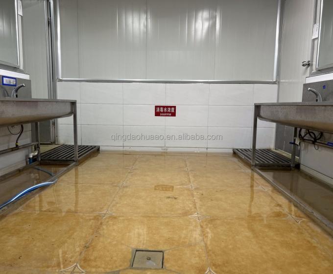 Sinocharm HALAL KOSHER ผู้จัดจำหน่ายขิงหั่นเต๋า IQF สด 4*4 มม. ของจีน 1 กก. ขิงแช่แข็งสำหรับเครื่องเทศ 10