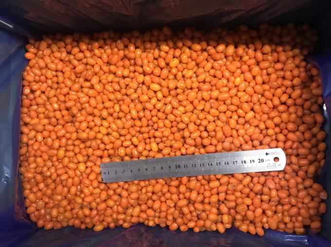 ที่มา จีน IQF ใหม่ แช่แข็ง หนามทะเลป่า หนามทะเลชั้นหนึ่ง หนามทะเล หนามทะเล ผักกาด ผักกาด ผักกาด ผักกาด ผักกาด ผักกาด 1