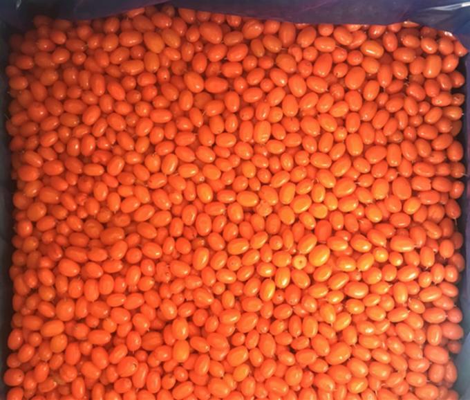 ที่มา จีน IQF ใหม่ แช่แข็ง หนามทะเลป่า หนามทะเลชั้นหนึ่ง หนามทะเล หนามทะเล ผักกาด ผักกาด ผักกาด ผักกาด ผักกาด ผักกาด 0