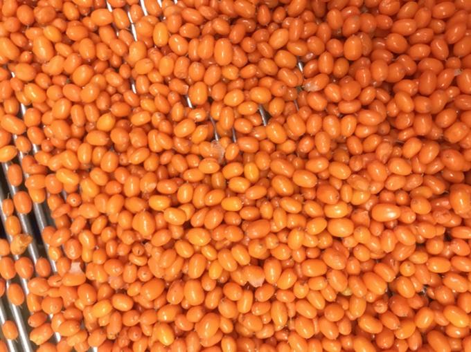 ที่มา จีน IQF ใหม่ แช่แข็ง หนามทะเลป่า หนามทะเลชั้นหนึ่ง หนามทะเล หนามทะเล ผักกาด ผักกาด ผักกาด ผักกาด ผักกาด ผักกาด 2