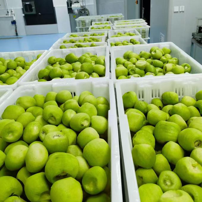 กิวิ ผลไม้ Frozen ผลไม้ Frozen Kiwi Ball คุณภาพธรรมชาติ 3