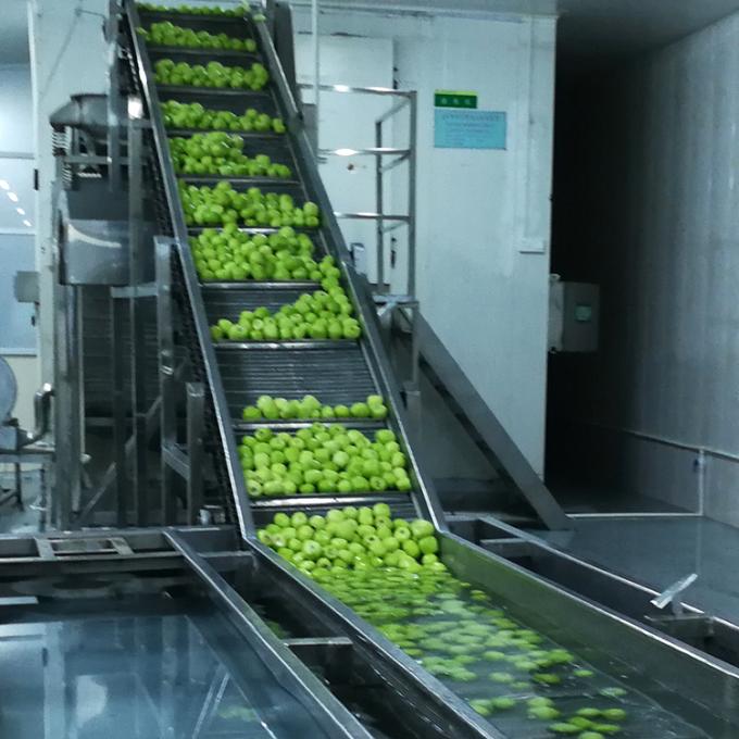 กิวิ ผลไม้ Frozen ผลไม้ Frozen Kiwi Ball คุณภาพธรรมชาติ 6