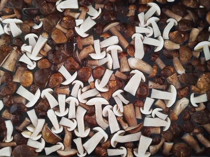 เห็ดแข็ง IQF BOLETUS EDULIS เกรด A 24 เดือน อายุการใช้งาน ISO HACCP BRC KOSHER HALAL รับรอง MOQ 10 ตัน 0