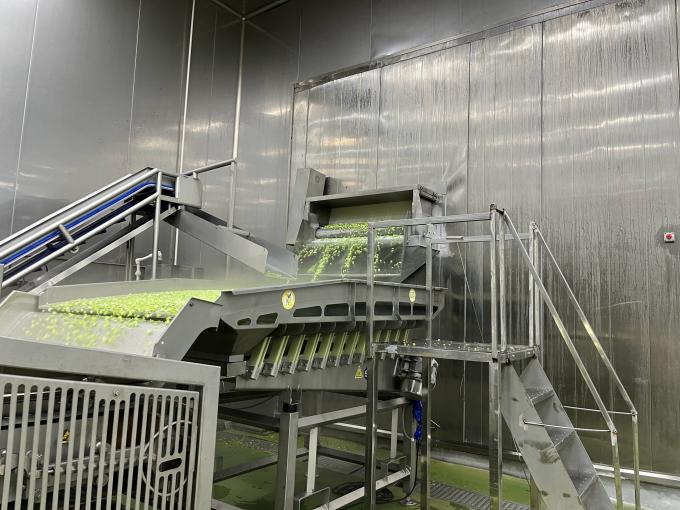 ราสเบอรี่สดแข็งคุณภาพสูง เลือกด้วยมือเพื่อรสหวาน สําหรับน้ําผึ้ง ของหวาน น้ํามะนาว 10