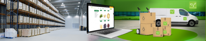 เห็ดนางรมแช่แข็งคุณภาพสูงที่ดีที่สุด ขายส่ง พืชใหม่ IQF เห็ดนางรมหั่น 8