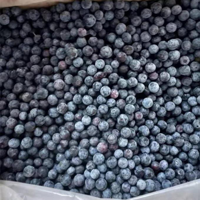 ขายปลีก จีน Iqf มะเขือเทศแข็ง IQF มะเขือเทศแข็งเพื่อส่งออก ด้วยราคาดี Blue Berry 1