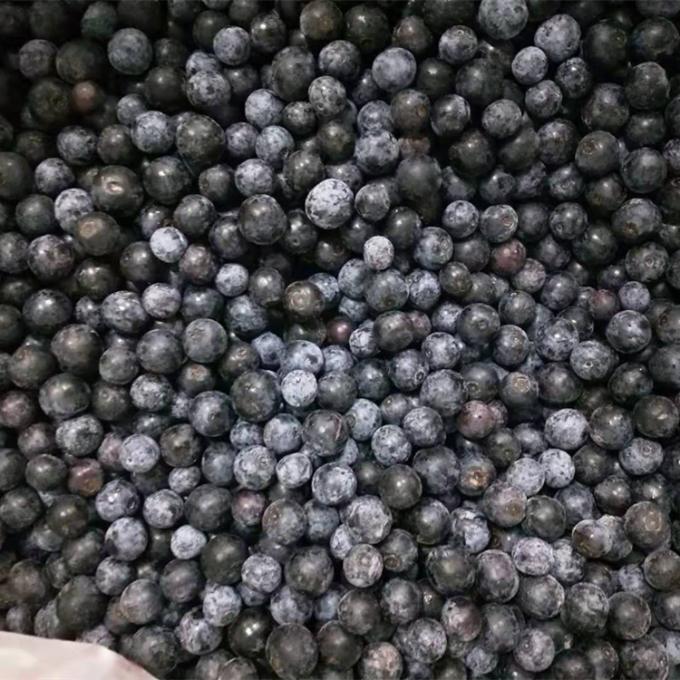 ขายปลีก จีน Iqf มะเขือเทศแข็ง IQF มะเขือเทศแข็งเพื่อส่งออก ด้วยราคาดี Blue Berry 2
