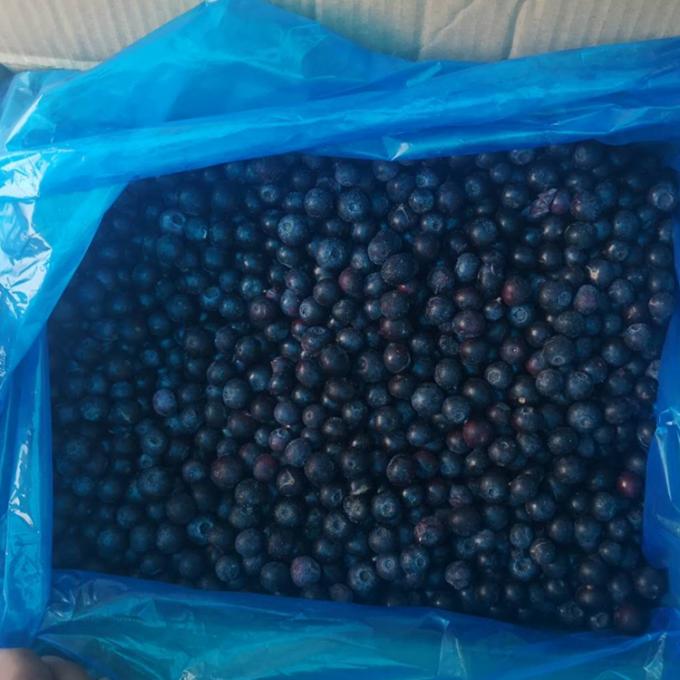 ขายปลีก จีน Iqf มะเขือเทศแข็ง IQF มะเขือเทศแข็งเพื่อส่งออก ด้วยราคาดี Blue Berry 3