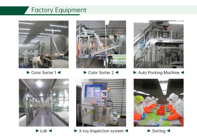 IQF ผักผสมเย็น ผักผสมสด 6