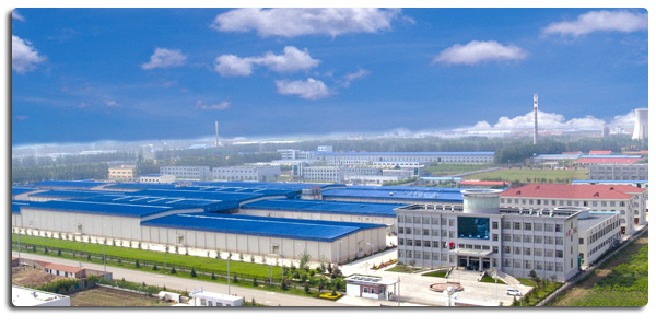 ขนไก่ที่ไม่เหลือกระดูกแข็งคุณภาพสูง ส่งออกพร้อมในบรรจุสินค้าจํานวนมาก 4