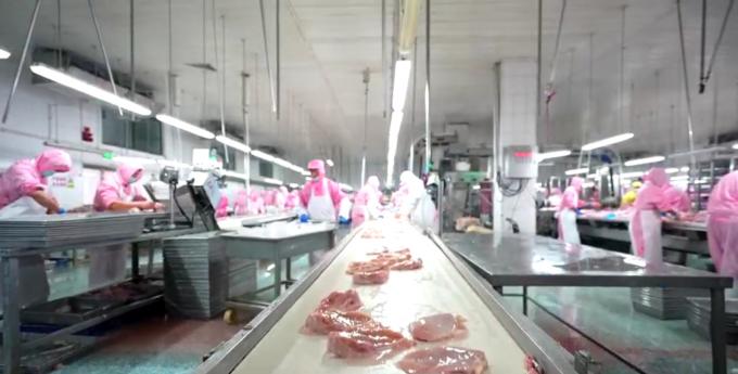 ขนไก่ที่ไม่เหลือกระดูกแข็งคุณภาพสูง ส่งออกพร้อมในบรรจุสินค้าจํานวนมาก 6