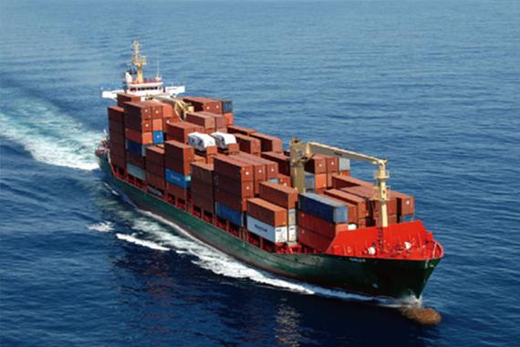 ขนไก่ที่ไม่เหลือกระดูกแข็งคุณภาพสูง ส่งออกพร้อมในบรรจุสินค้าจํานวนมาก 11