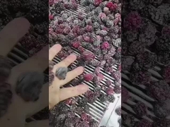 แบล็กเบอร์รี่